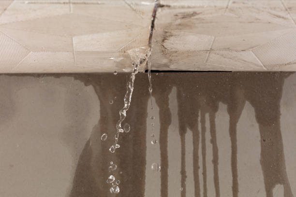 Professional Sewage Cleanup technician working in Happy Valley, CA